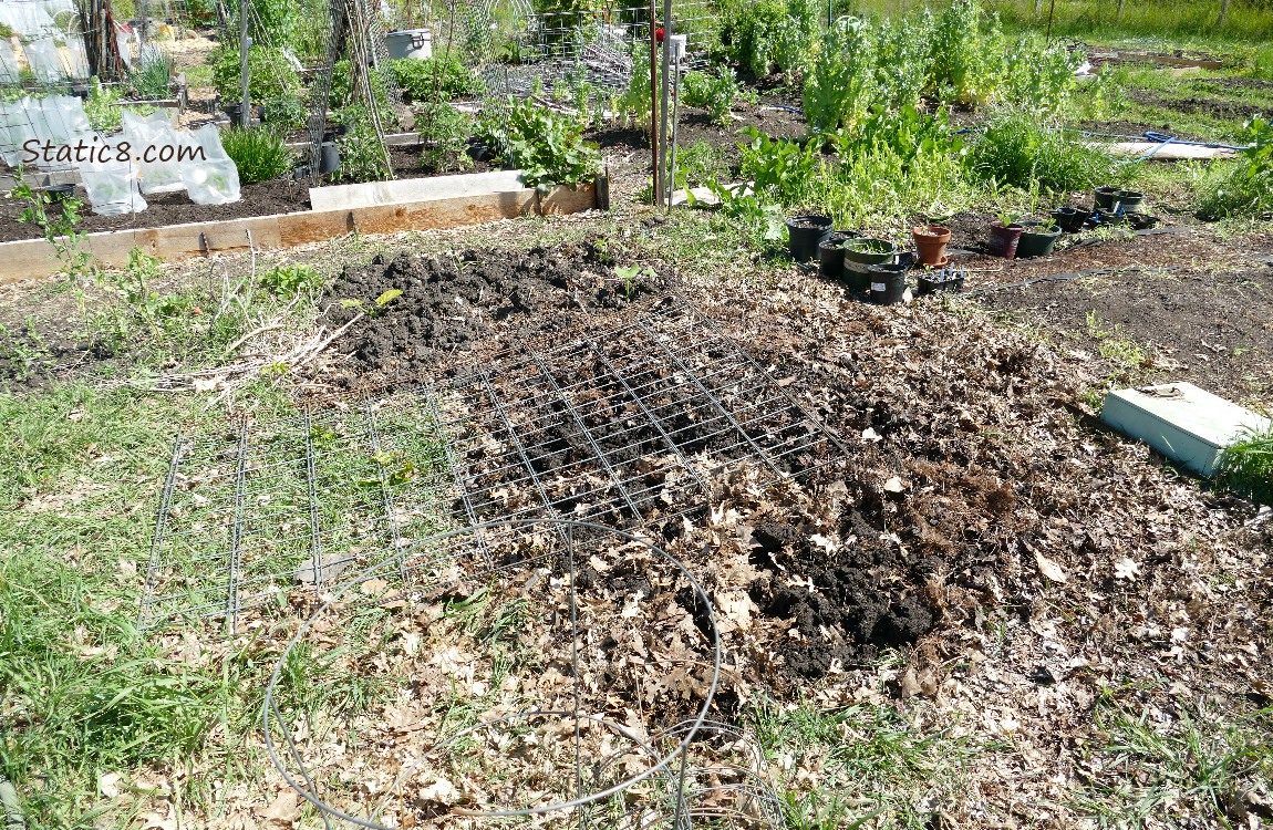 Garden Plot