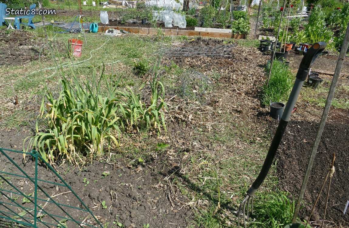 garden plot