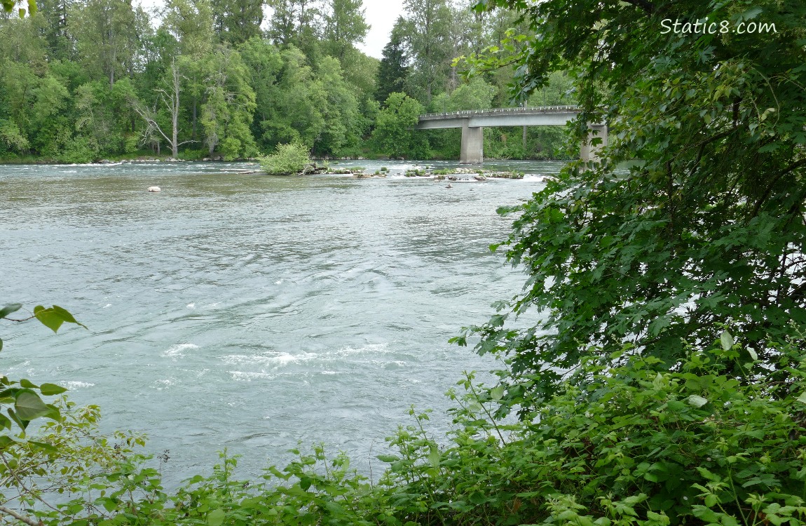 Bridge over the river