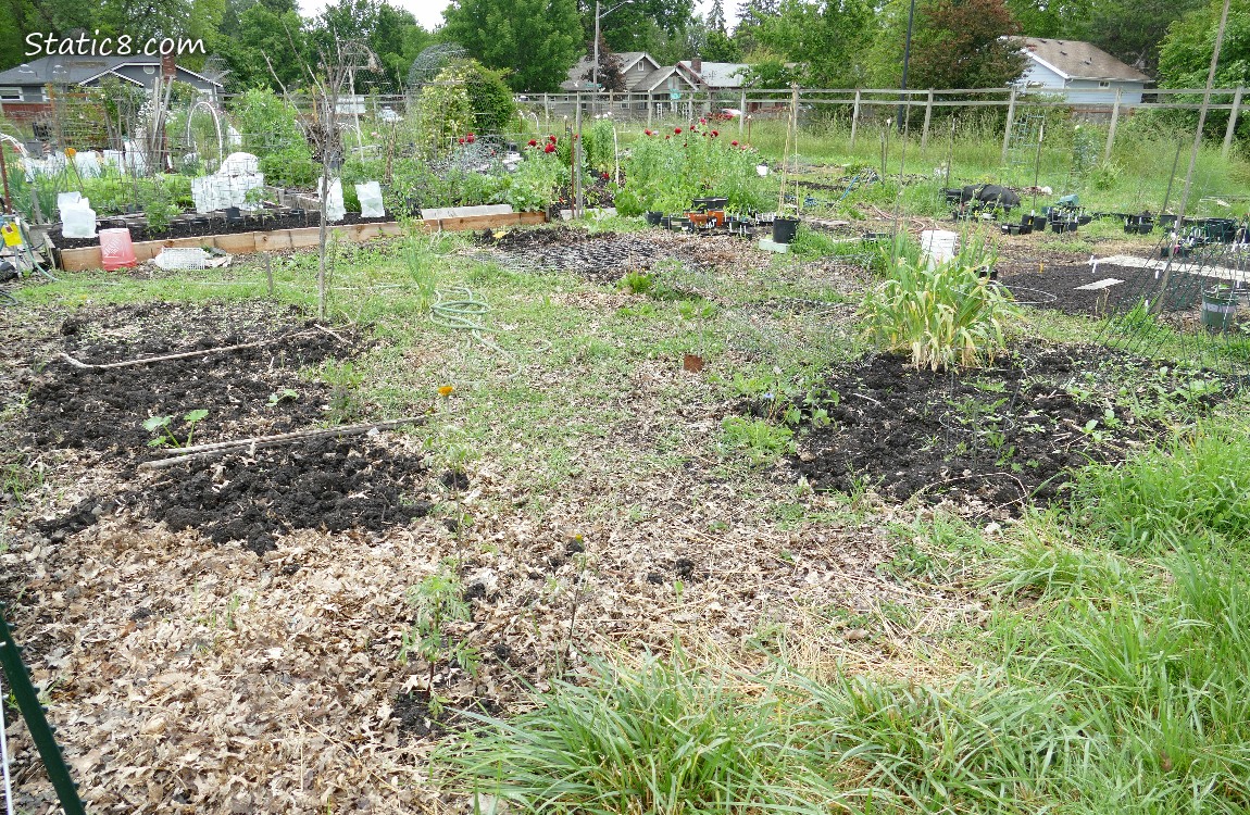 Garden Plot