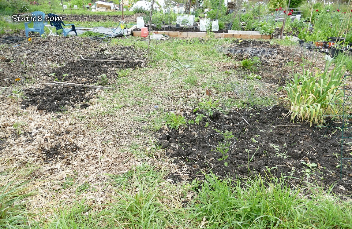 Garden Plot