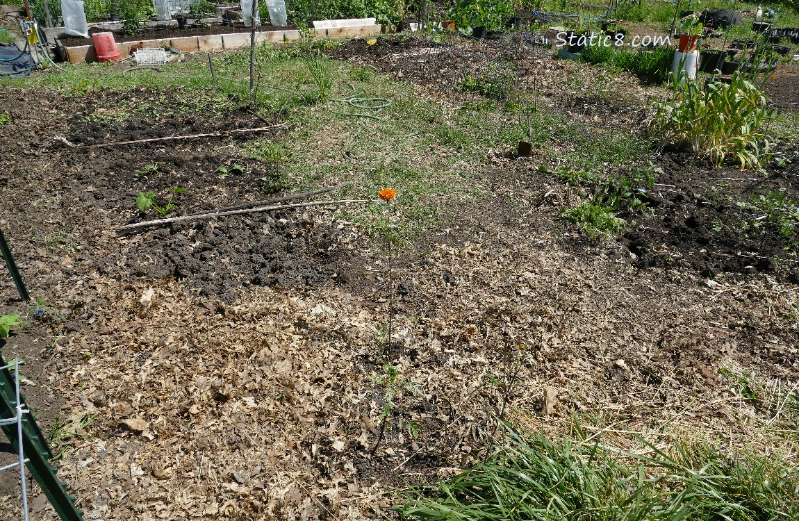 Garden plot