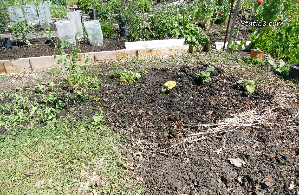 Garden plot