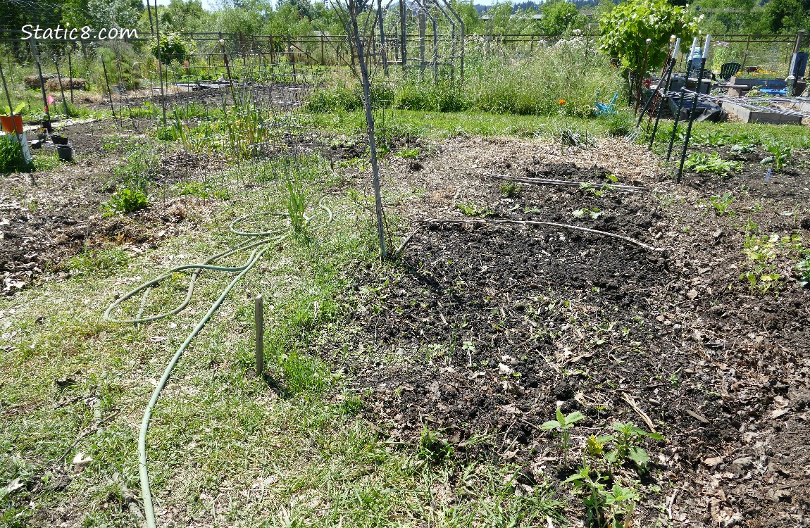 garden plot