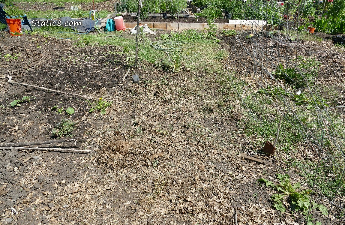 Garden Plot