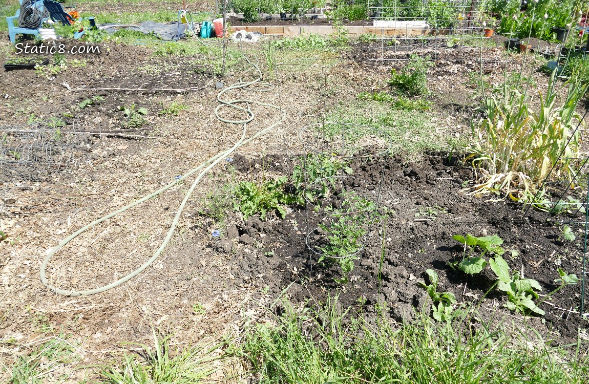 Garden Plot