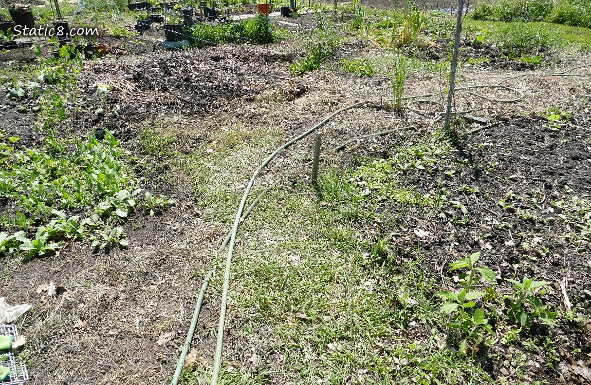 Garden plot