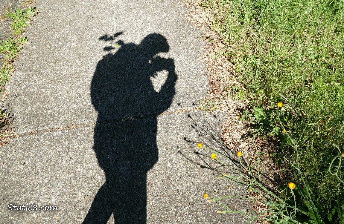 Shadow of a person on the sidewalk