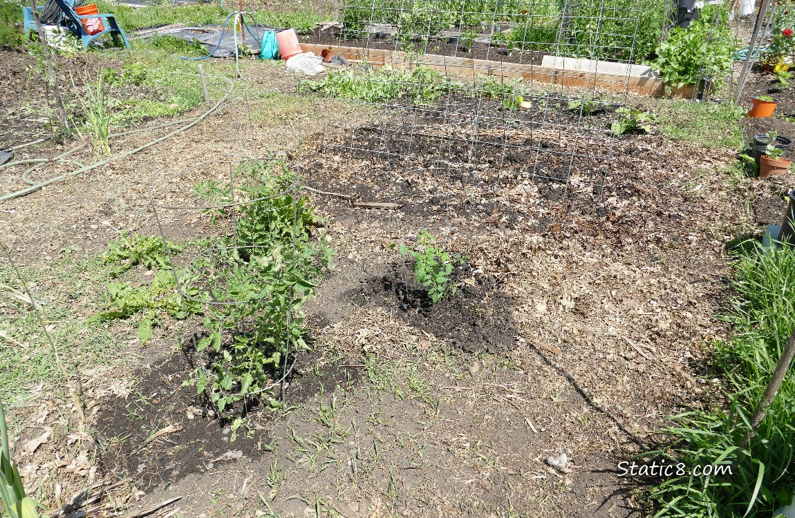 Garden Plot