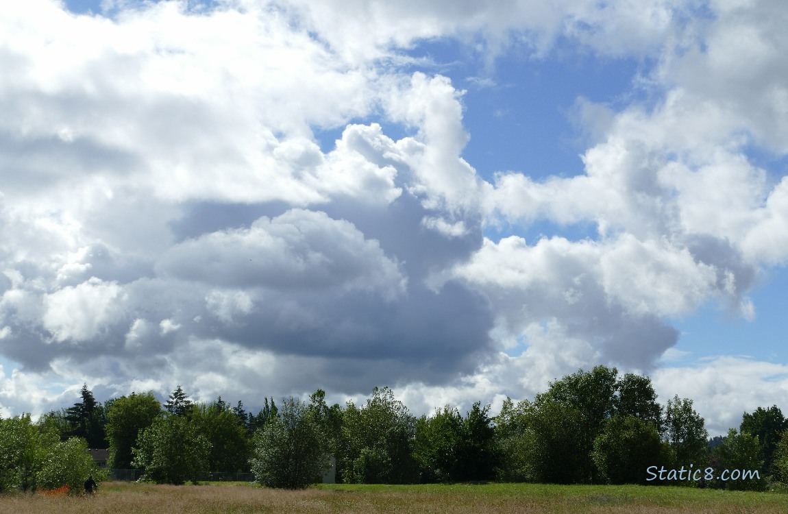 Clouds over some trees