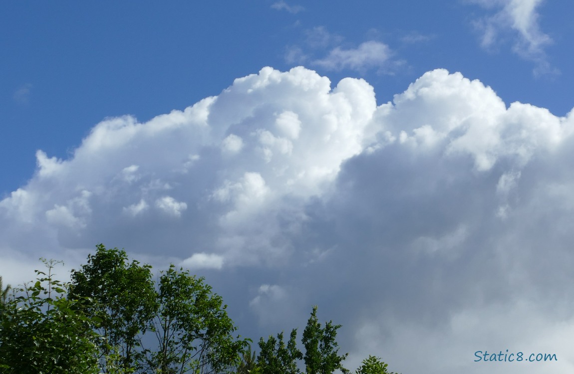 Clouds over some trees