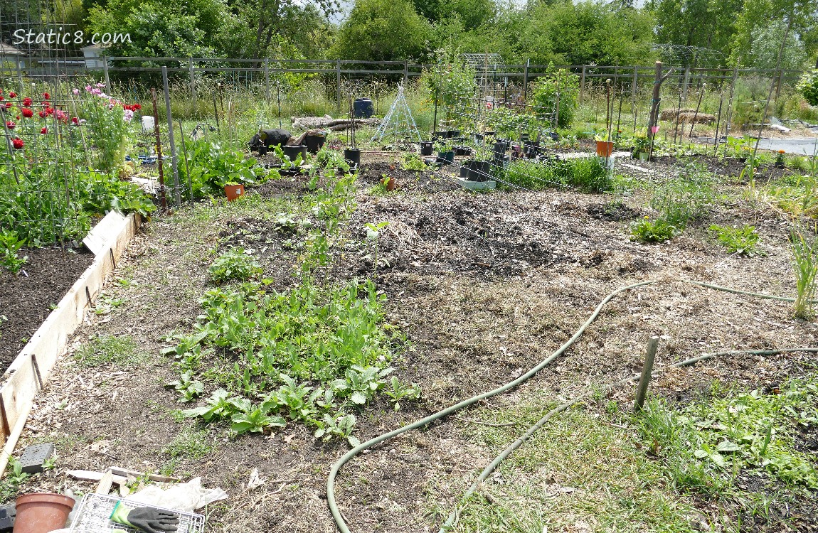 Garden plot