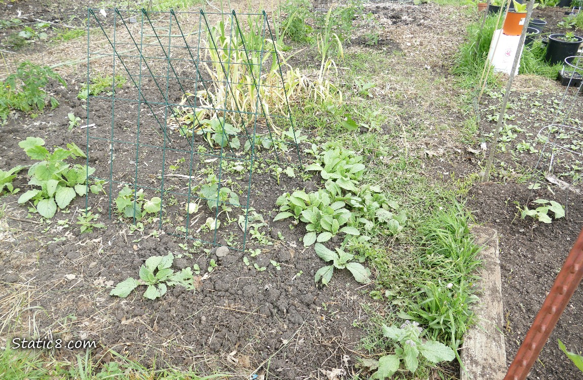 Garden plot