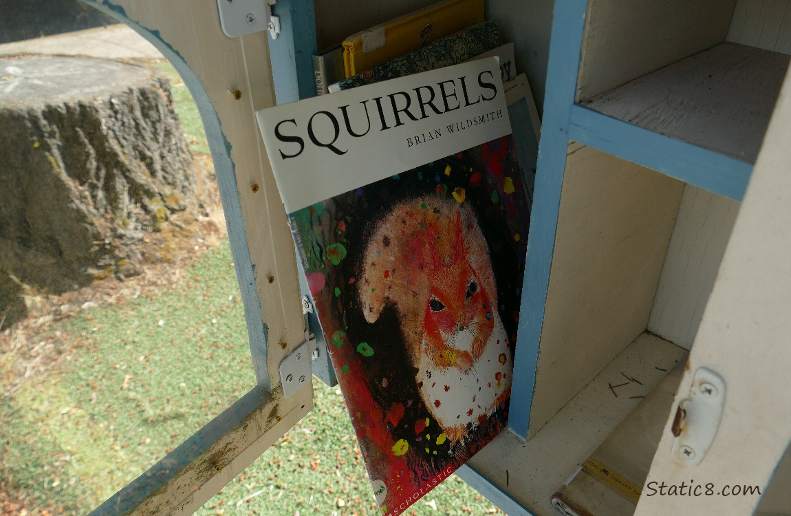 Squirrels book in a Little Free Library