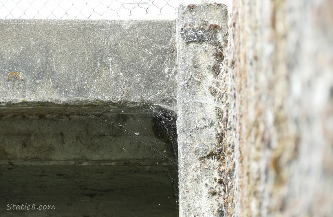 cobwebs under a bridge