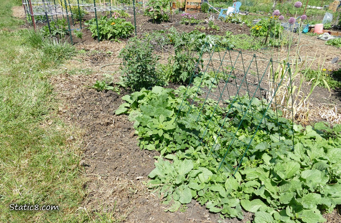 Garden plot