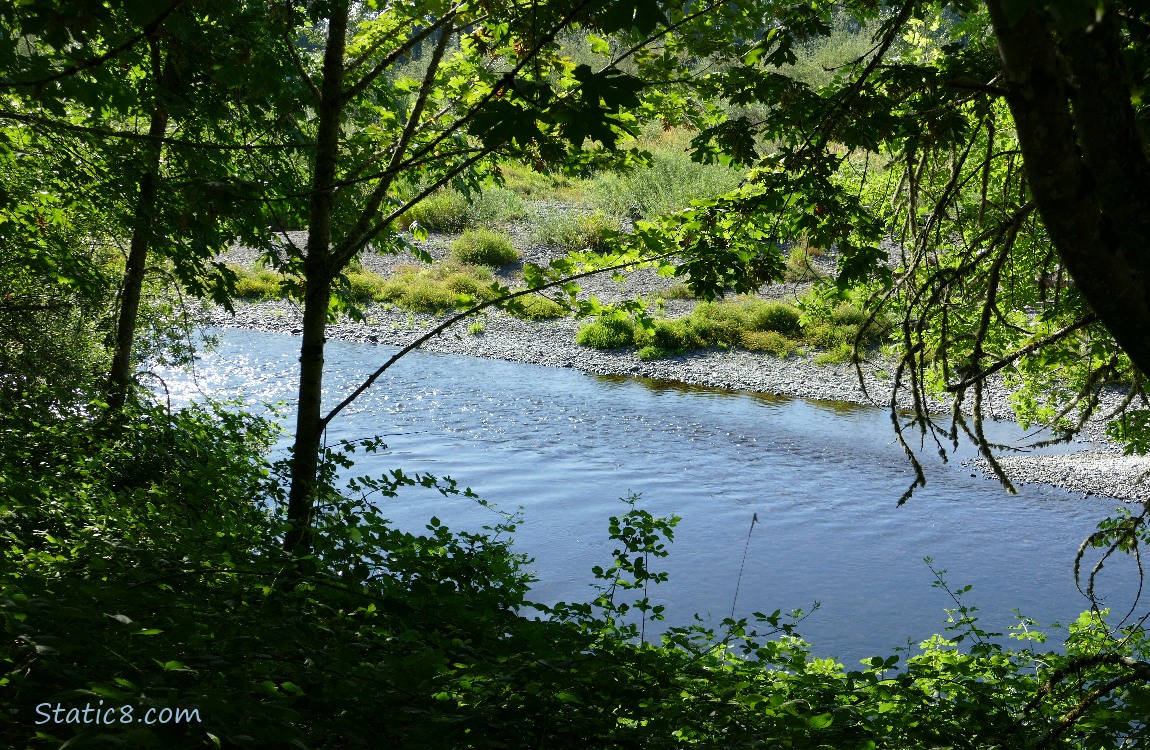 Canal past the trees