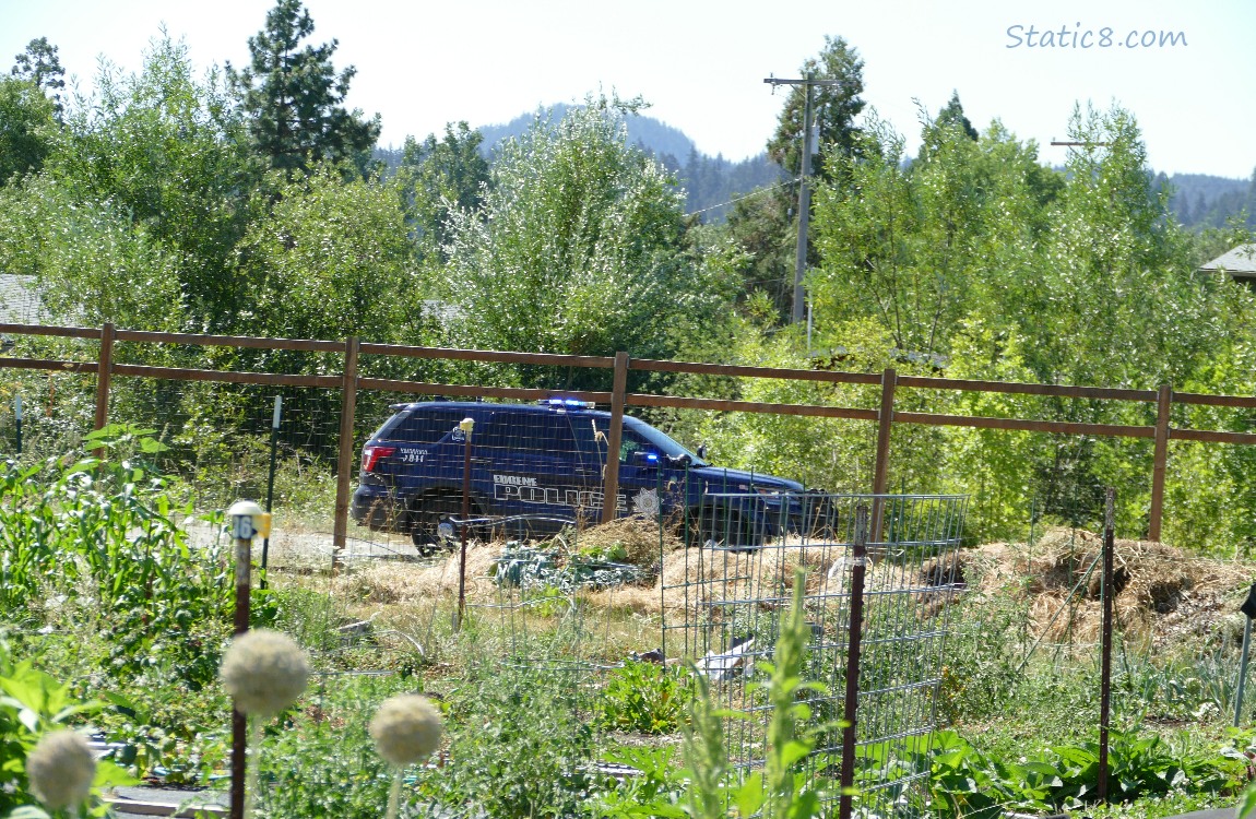 Cop car past the Community Garden fence