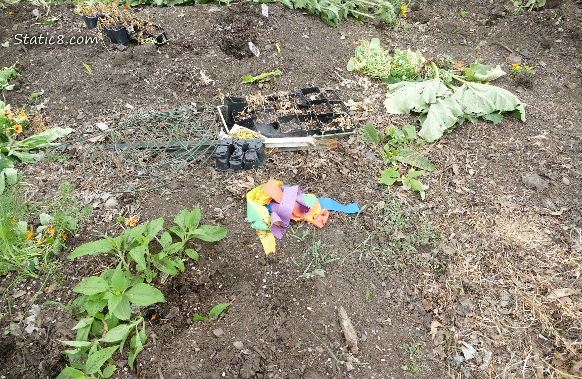 Garden destruction