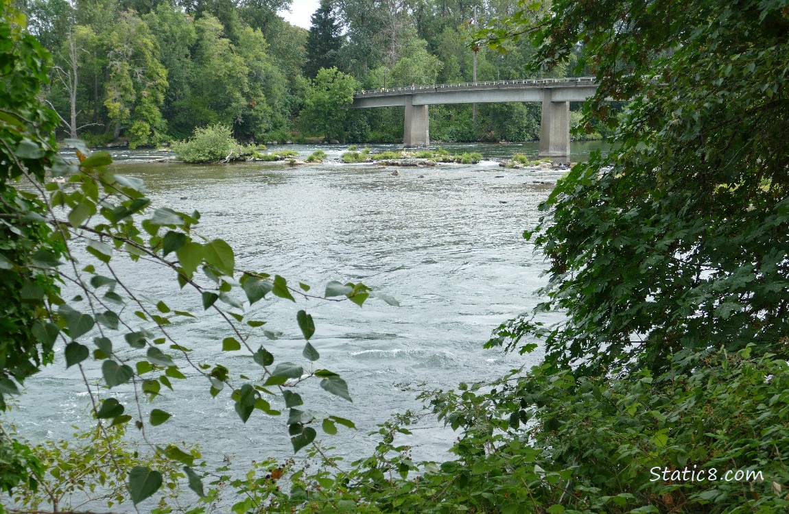 bridge over the river