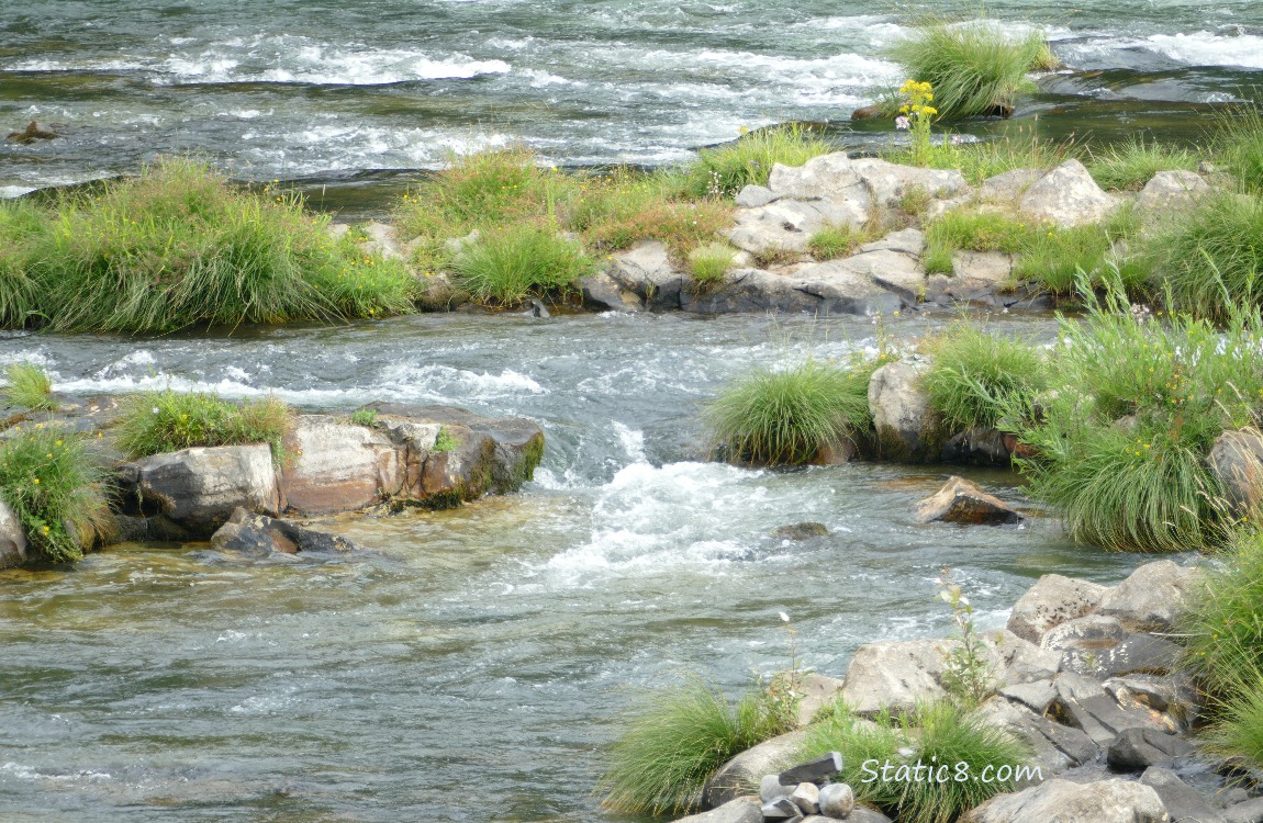 River rocks