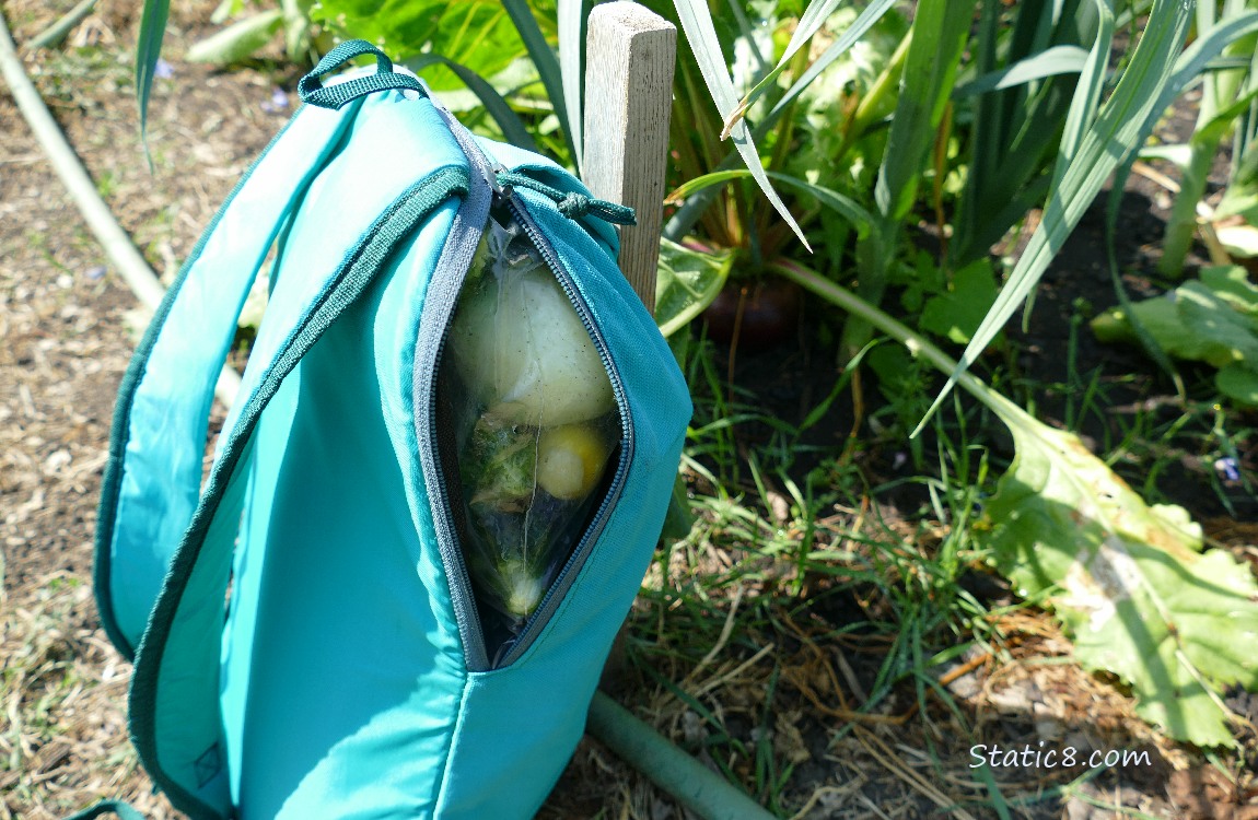 Backpack so stuffed, the zipper won't close