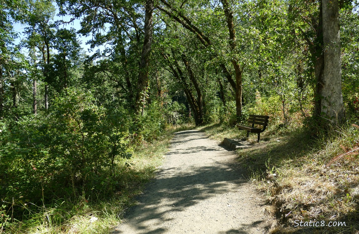 bench by the hiking trail