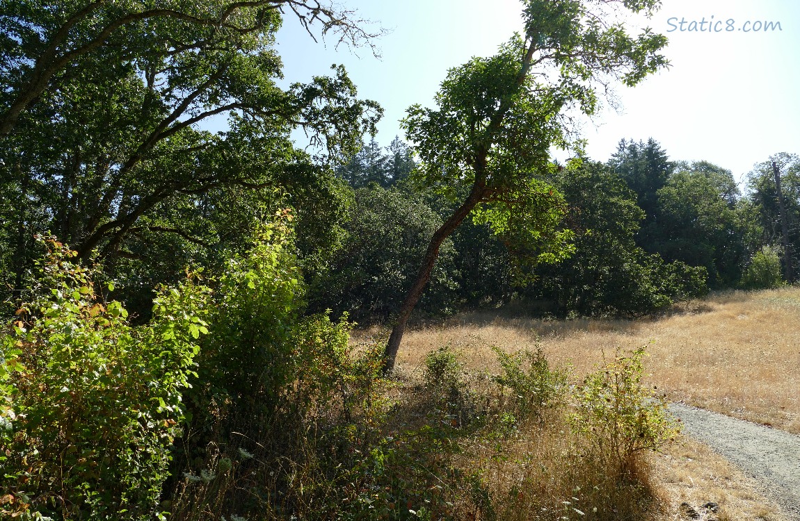 hiking trail