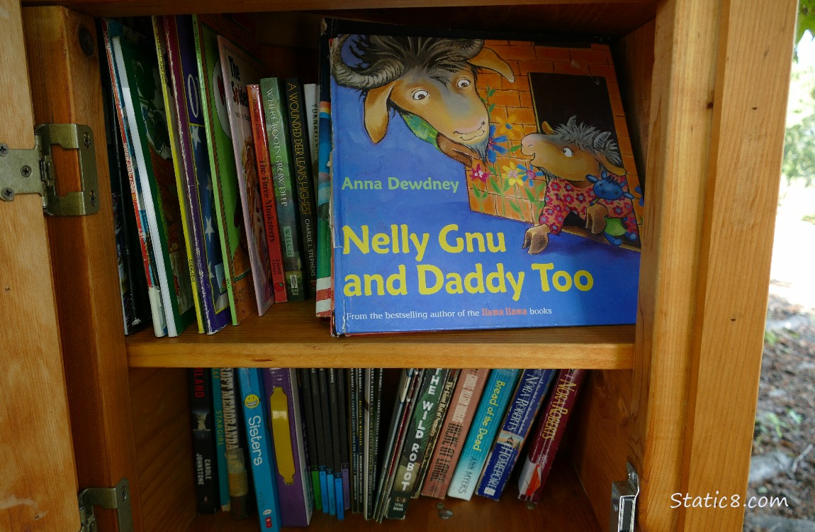 books in a little free library box