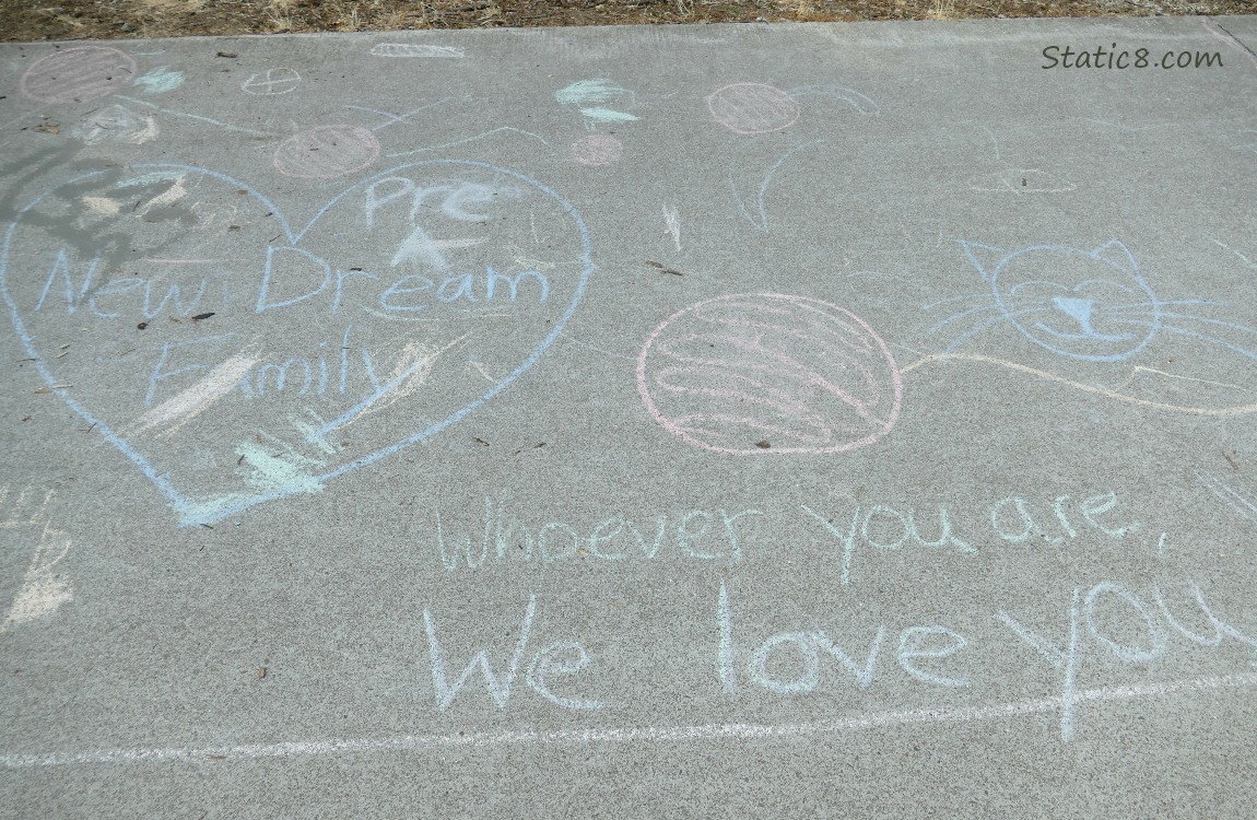 Chalk drawings on the bike path