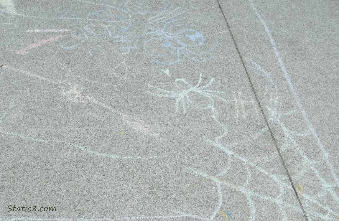 Chalk drawings on the bike path