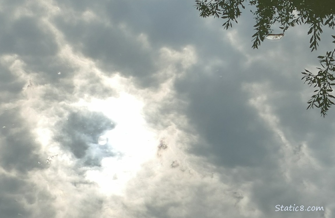 Sun and clouds, reflected in water