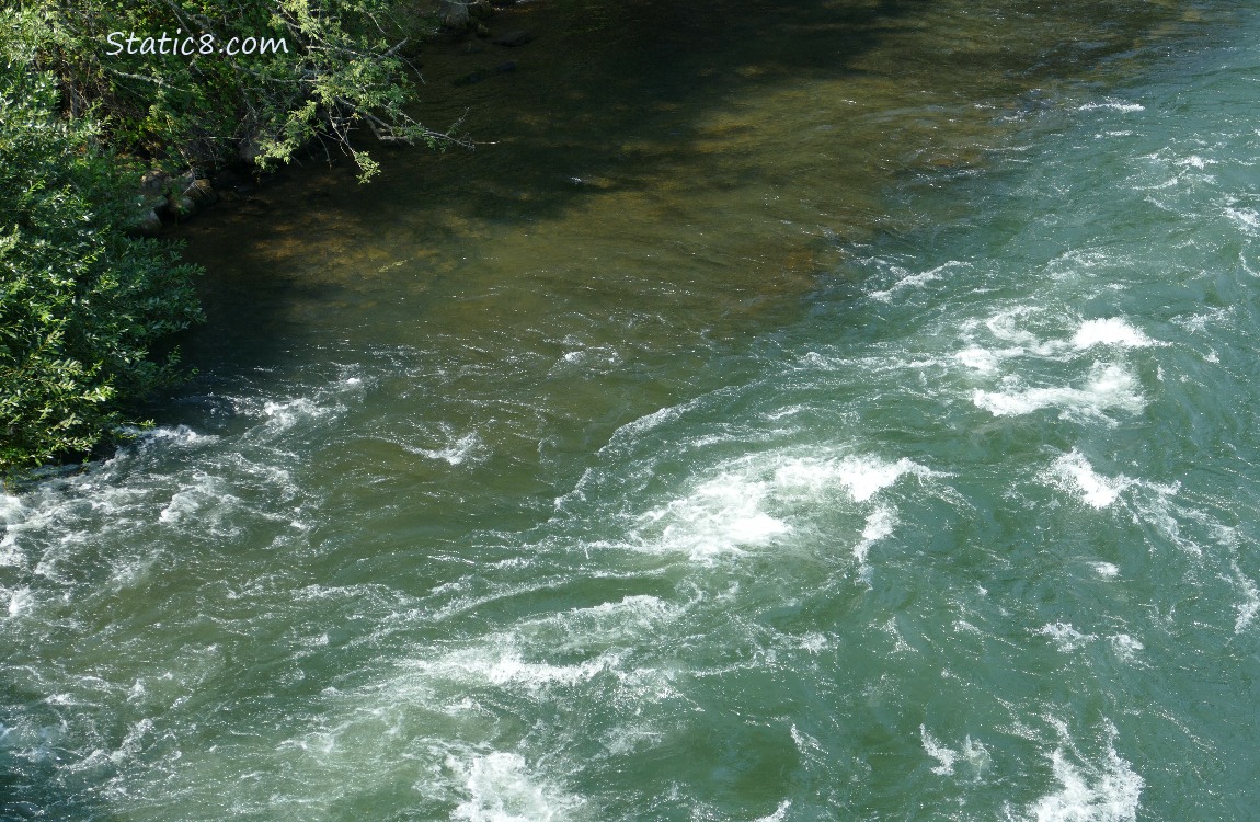 River water swirling near the bank