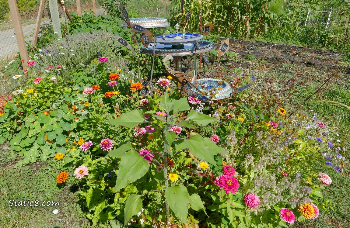 Flowers around a artistic bird bath