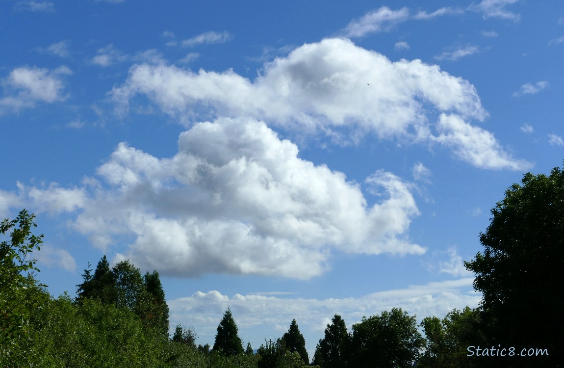 White puffy clouds in a blue sky over some trees