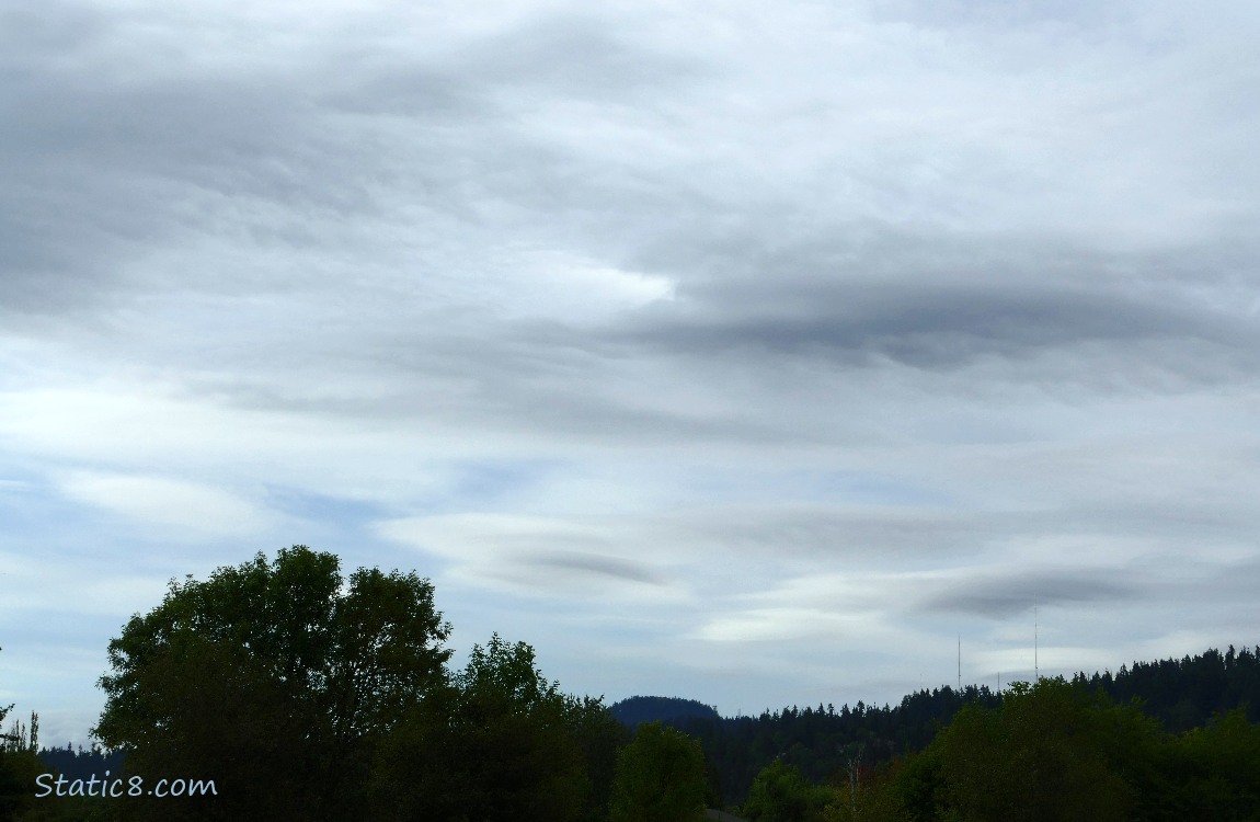 Clouds over the trees