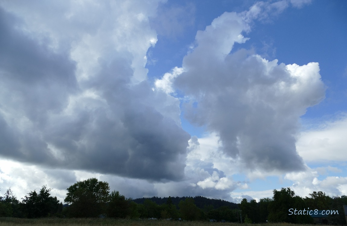 Clouds over the trees on the hill