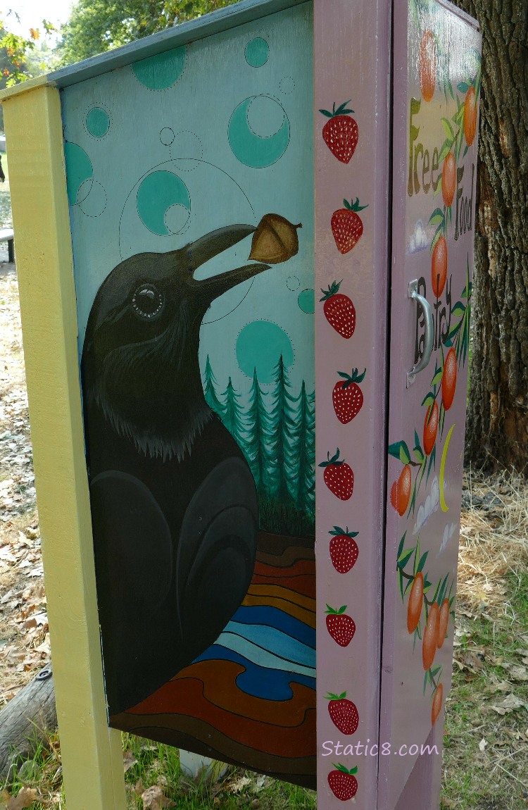 Little Free Pantry with a crow painted on the side