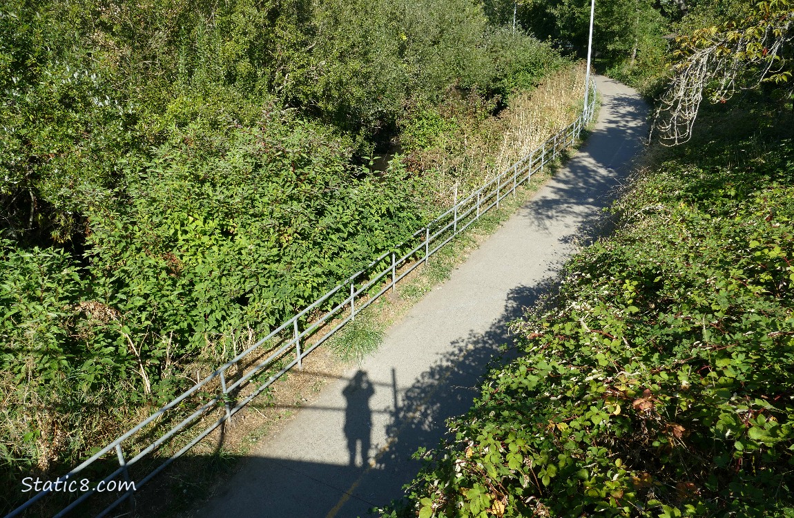 Looking down at the bike path next to the creek