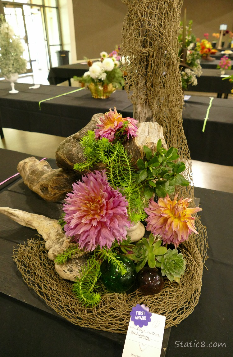 Beach Combing Arrangement