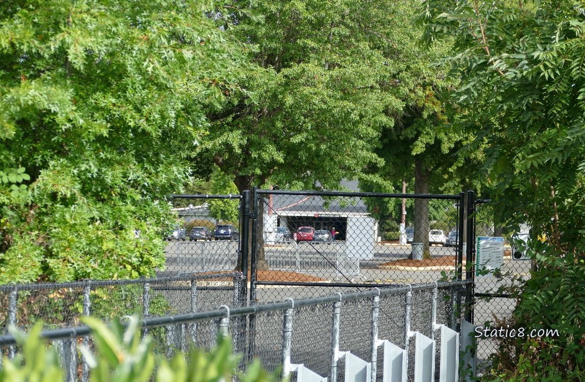 Events Center thru a chain link fence