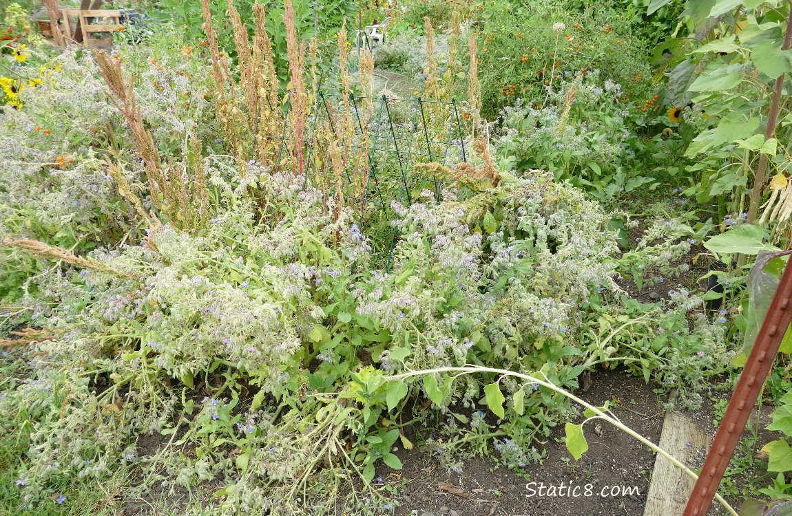 Garden Plot