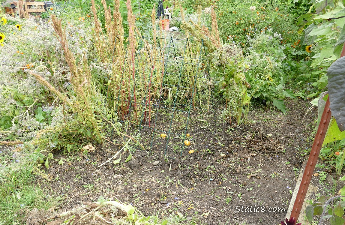 Garden plot