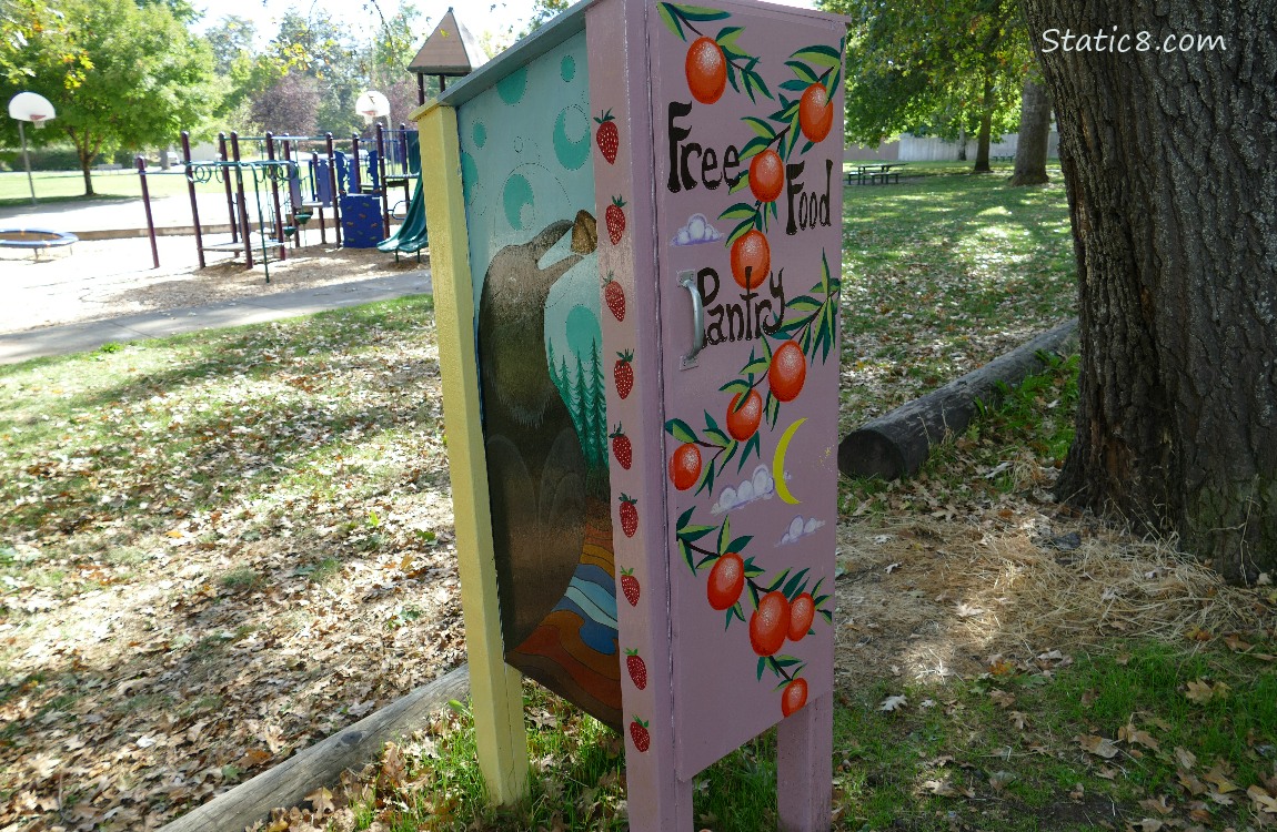 Little Free Pantry in a park