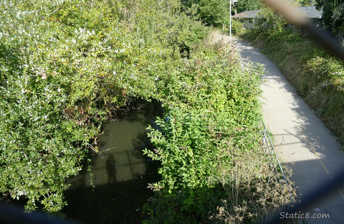 looking down at the creek from a bridge