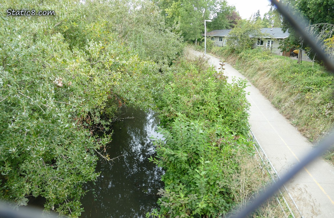 Bike path and creek from a bridge