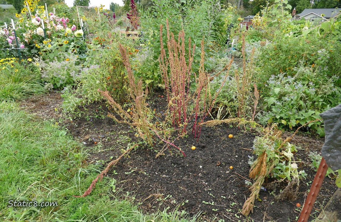 Garden Plot