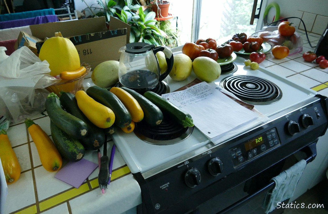 Harvested veggies on a kitchen counter and stove