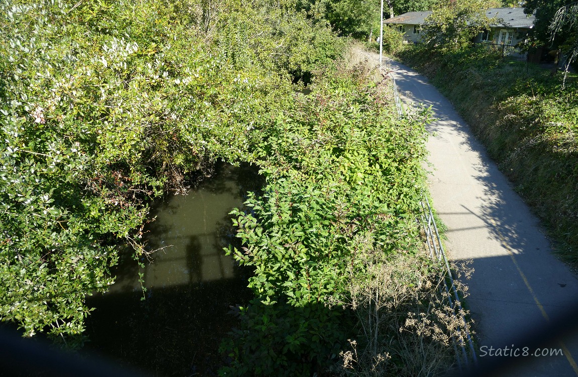 Looking down at the creek and bike path from a bridge over them