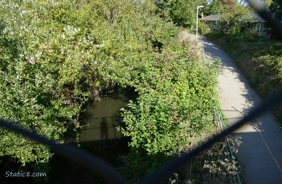 Looking down at the bike path and creek from a bridge